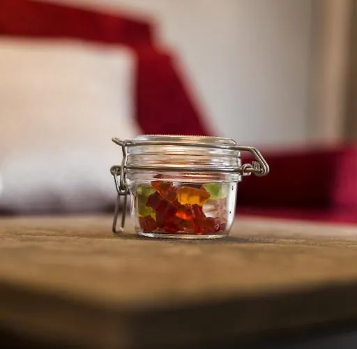 酒店 瓦伦丁酒店 索尔登